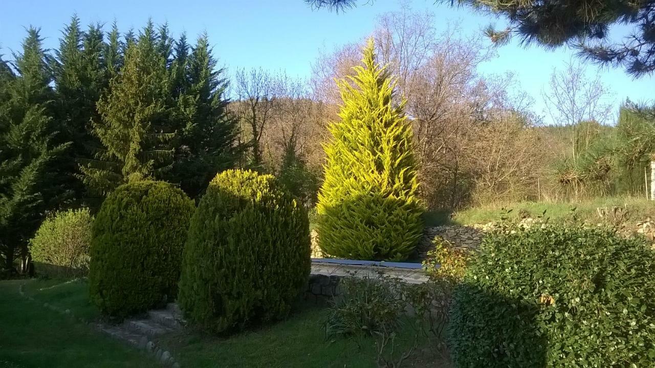 Canigou Lodge Vernet-les-Bains Kültér fotó