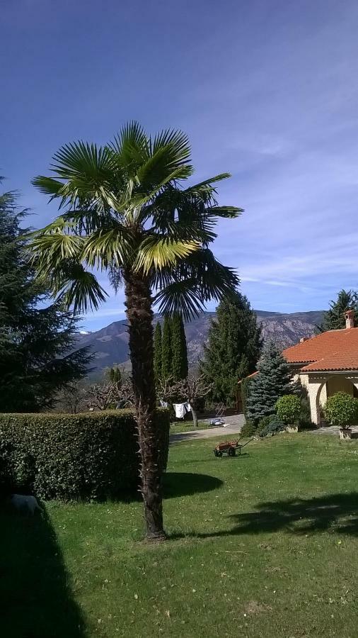 Canigou Lodge Vernet-les-Bains Kültér fotó